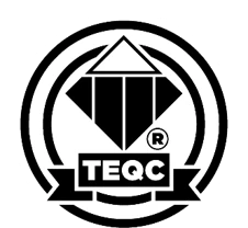 TTI Success Insights Emotional Quotient Certified